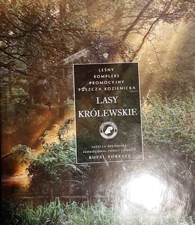 128158366 201126198166491 6736511312685949206 n e1606668626505