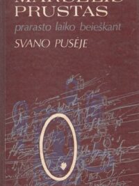 Prarasto laiko beieškant. Svano pusėje