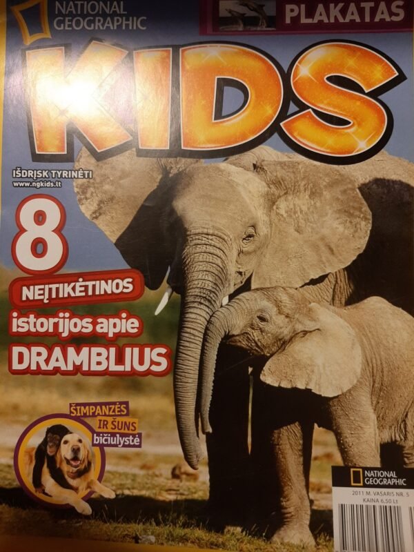 wp 16077152530832618130324864253748 scaled 1