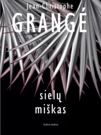 Sielų miškas