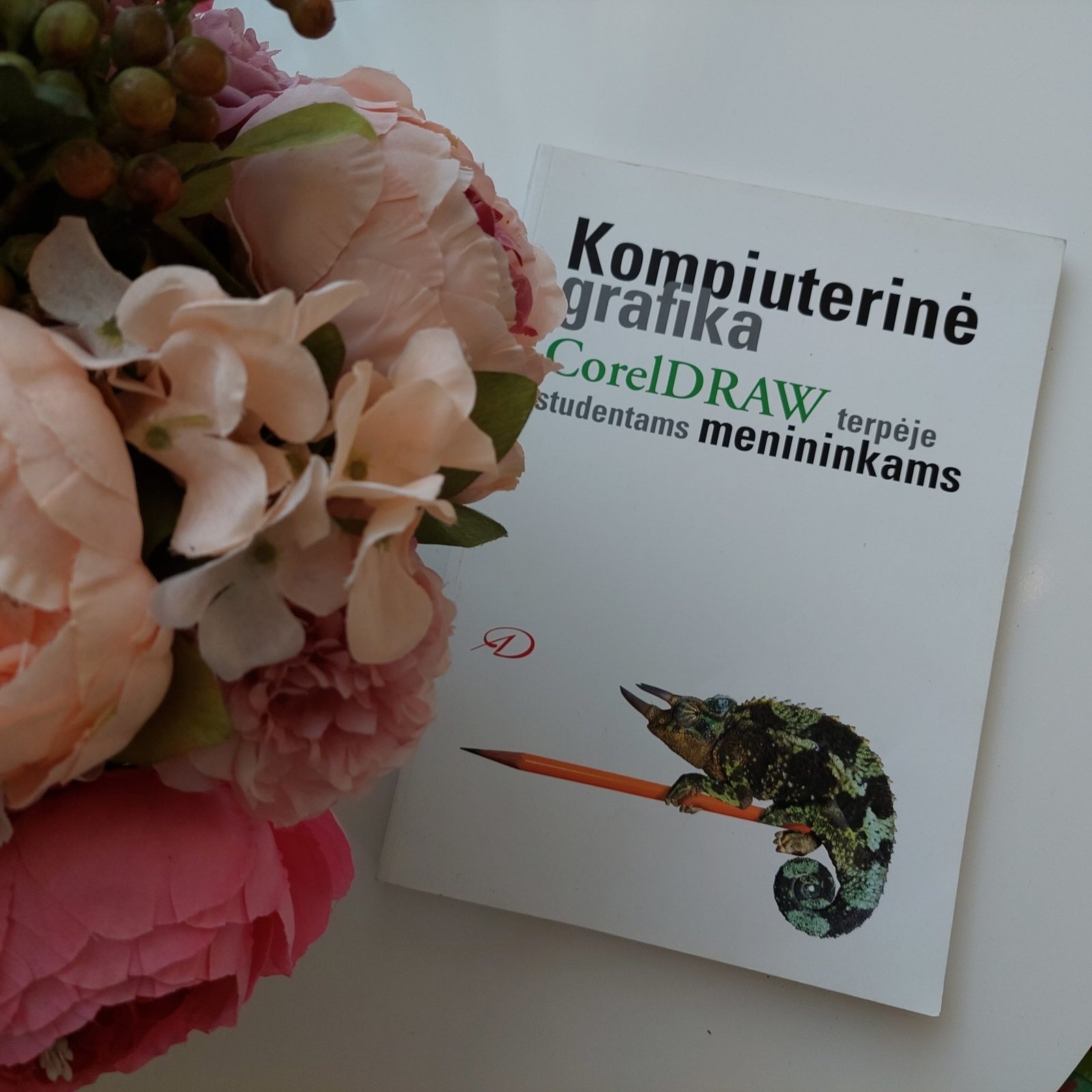 CoralDRAW terlėje studentams menininkams