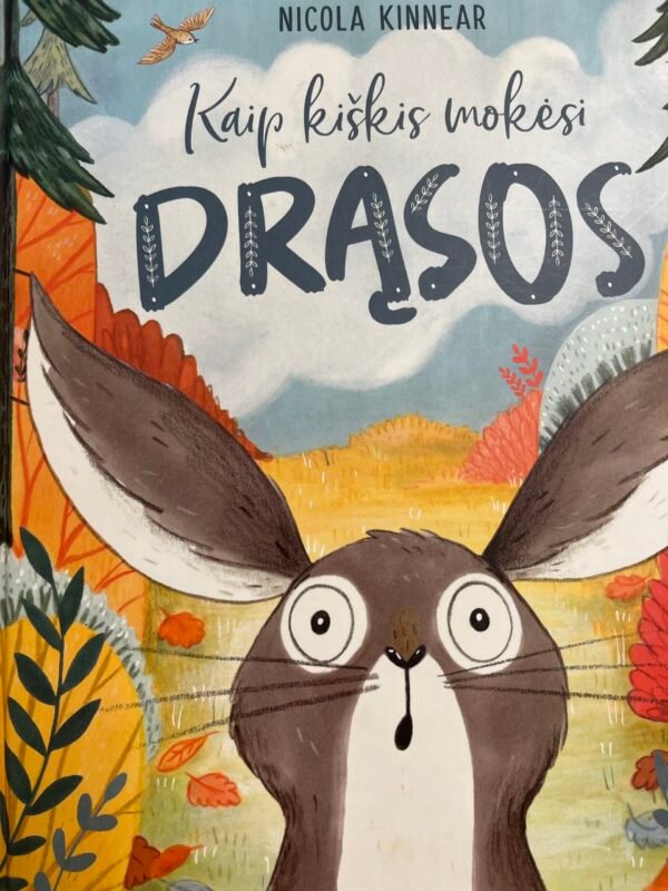 Kaip kiškis drąsos mokėsi