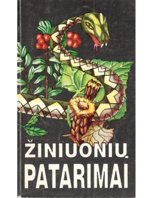 Žiniuonių patarimai