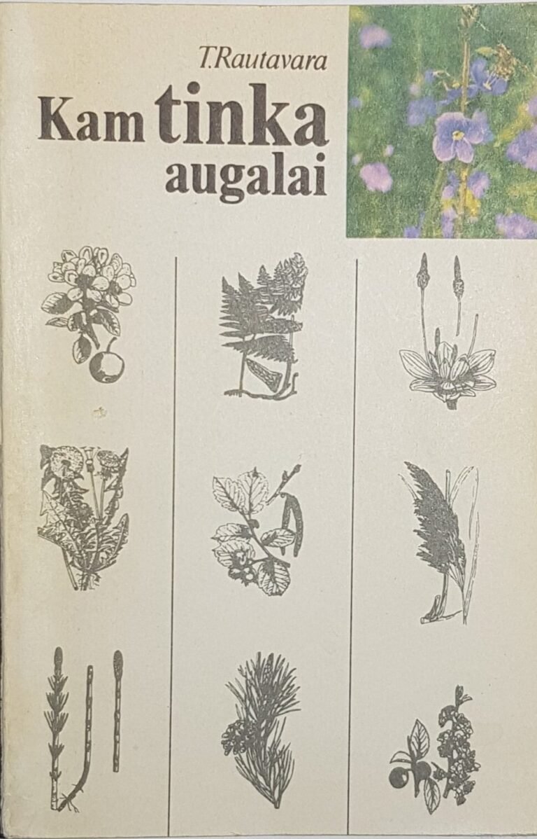 kam-tinka-augalai-2-1-e1699032765964