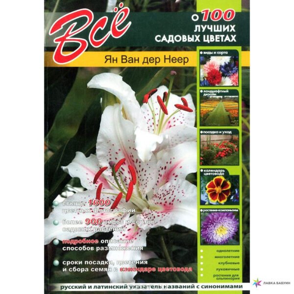 Все о лучших садовых цветах