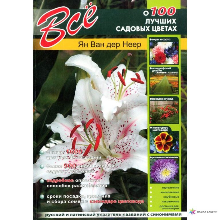 vse-o-100-luchshih-sadovyh-cvetah-741467-main-1000x1000-1