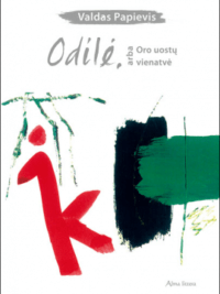 odilė ir oro uostų vienatvė