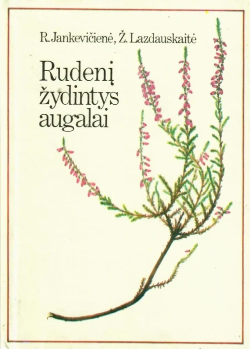 Rudenį žydintys augalai