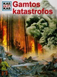 Gamtos katastrofos