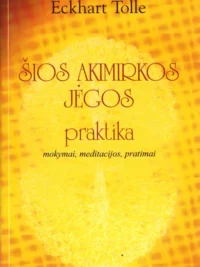Šios akimirkos jėgos praktika