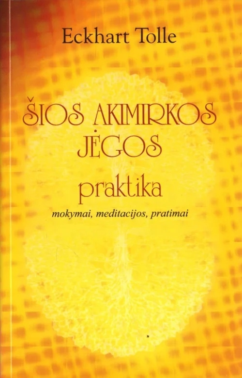 Šios akimirkos jėgos praktika