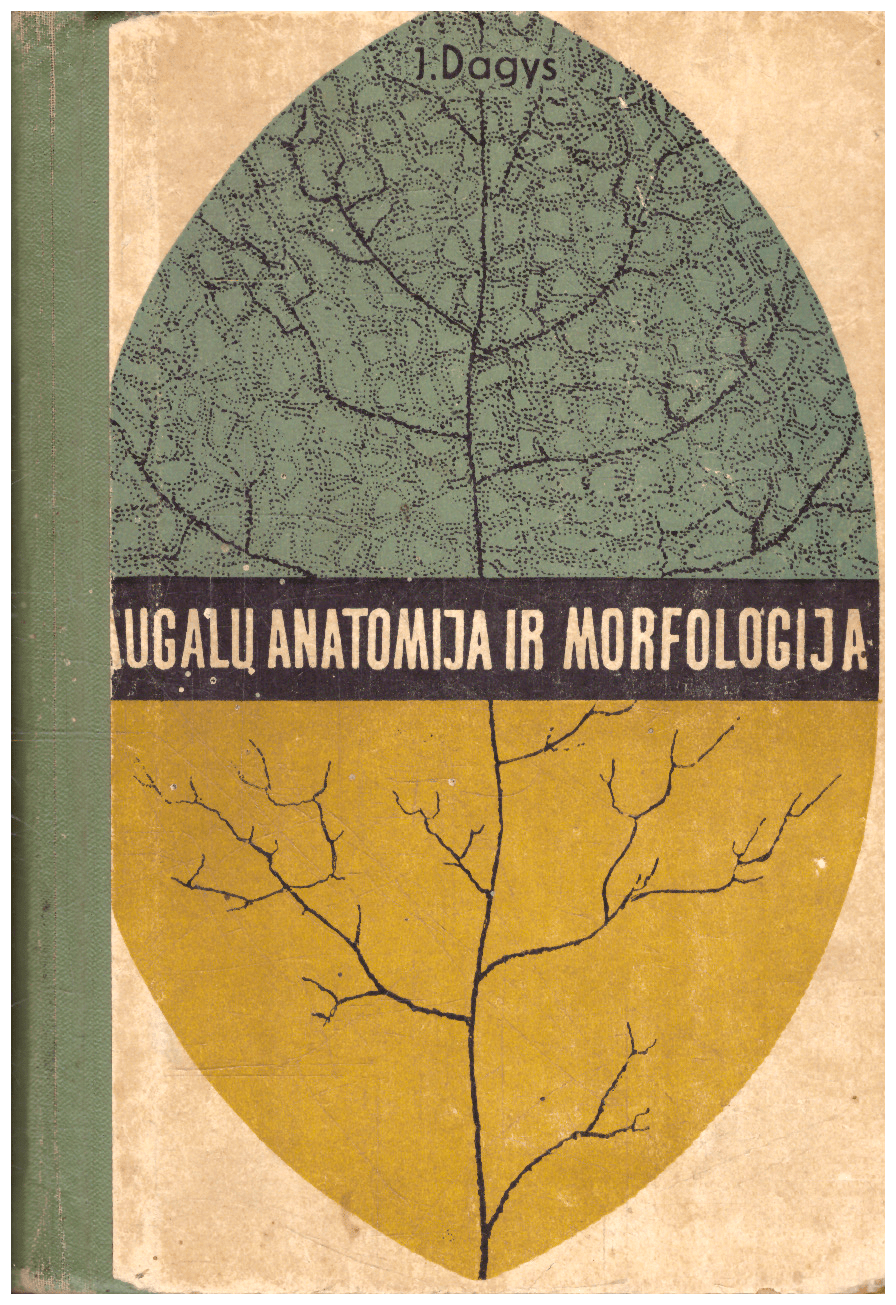 Augal Anatomija Ir Morfologija Skaitytaknyga