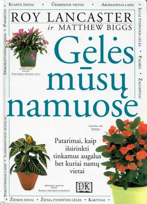 Gėlės mūsų namuose