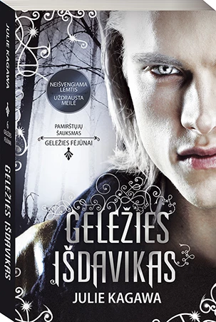 Geležies išdavikas (Geležies fėjūnai 6-oji knyga)