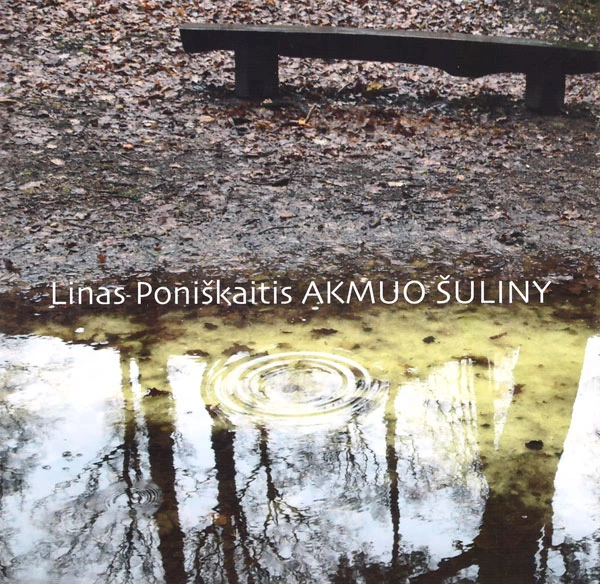 Linas Poniškaitis „Akmuo šuliny“