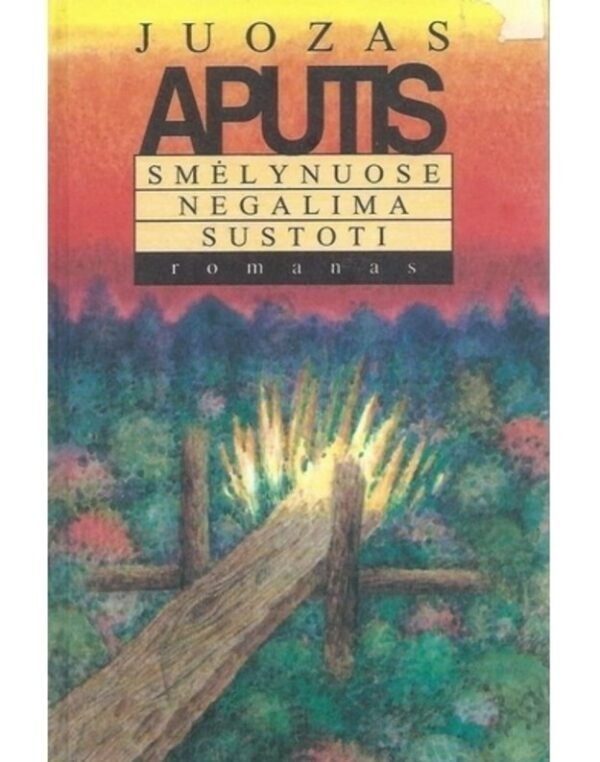 Smėlynuose negalima sustoti