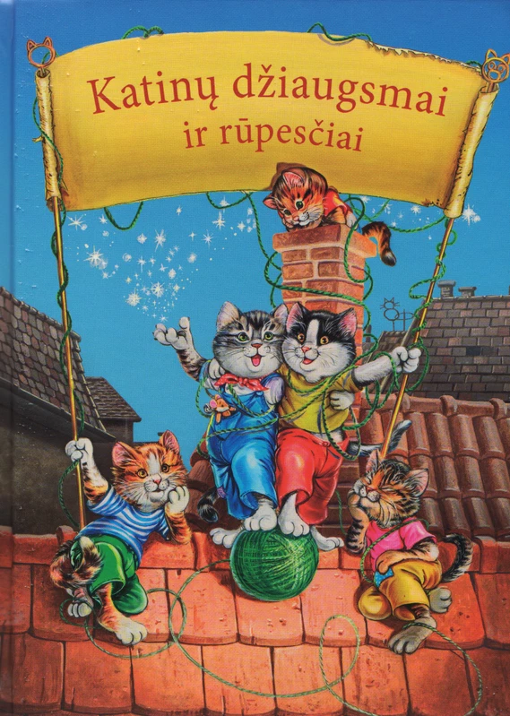 Katinų džiaugsmai ir rūpesčiai