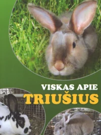 Viskas apie triušius