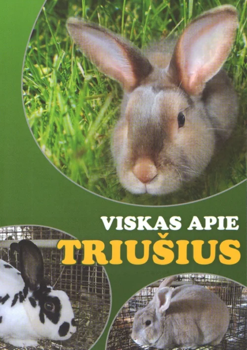 Viskas apie triušius