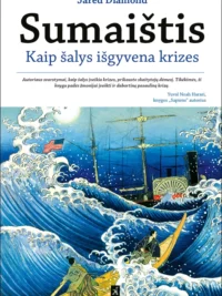 Sumaištis: kaip šalys išgyvena krizes