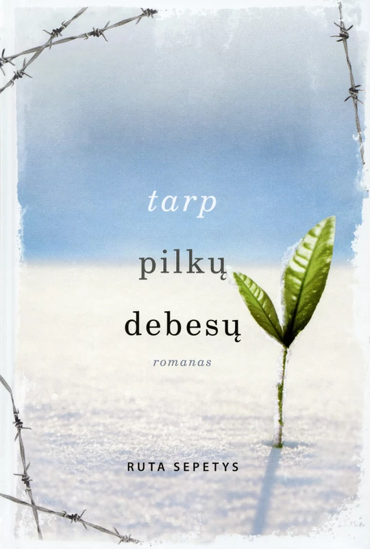 TARP PILKŲ DEBESŲ
