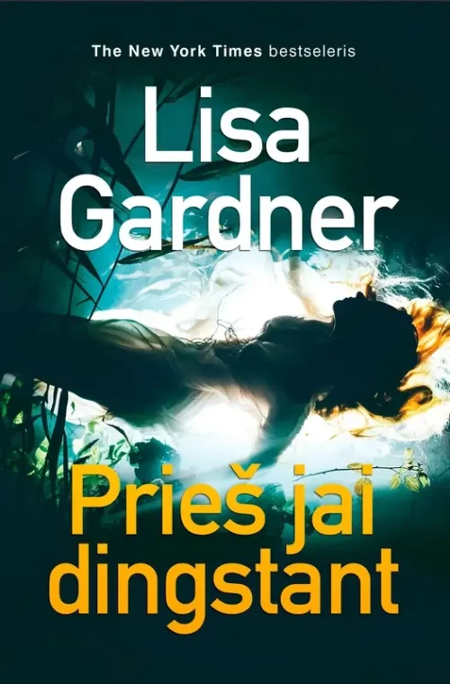Prieš jai dingstant