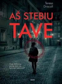 Aš stebiu tave
