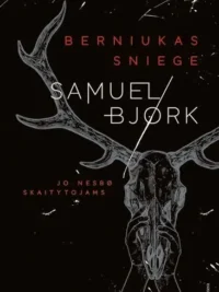 Berniukas sniege