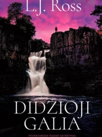 Didžioji galia