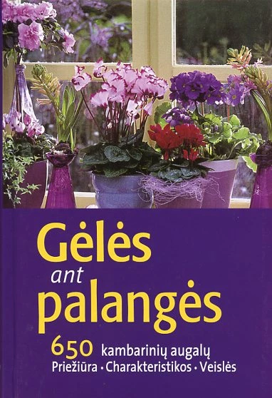 Gėlės ant palangės