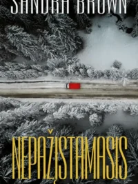 Nepažįstamasis