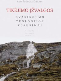 Tikėjimo įžvalgos: dvasingumo teologijos klausimai (su nedideliu defektu)