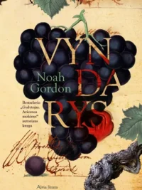 Vyndarys