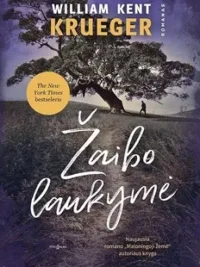 Žaibo laukymė
