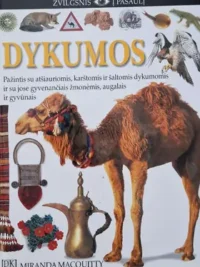 Dykumos (Žvilgsnis į pasaulį)