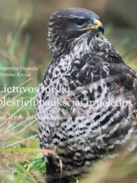 Lietuvos miškų plėšrieji paukščiai ir pelėdos