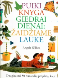 Puiki knyga giedrai dienai: žaidžiame lauke