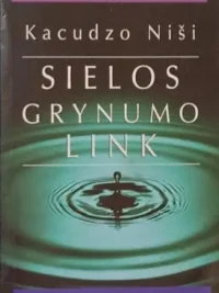 Sielos grynumo link