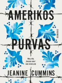 Amerikos purvas