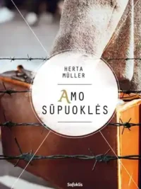Amo sūpuoklės