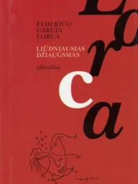 Liūdniausias džiaugsmas