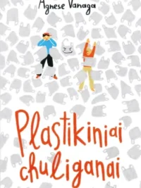 Plastikiniai chuliganai