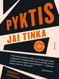 Pyktis jai tinka