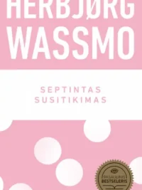 Septintas susitikimas