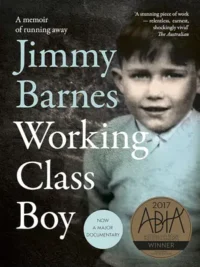 Working Class Boy