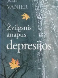 Žvilgsnis anapus depresijos