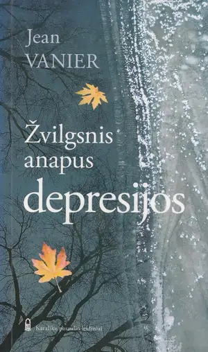Žvilgsnis anapus depresijos