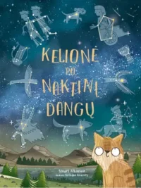 Kelionė po naktinį dangų