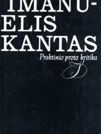 Praktinio proto kritika