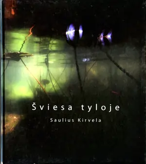 Šviesa tyloje